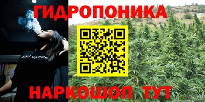 apvp Канаш