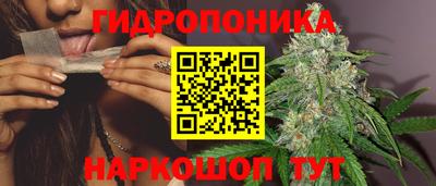 марихуана Камышлов