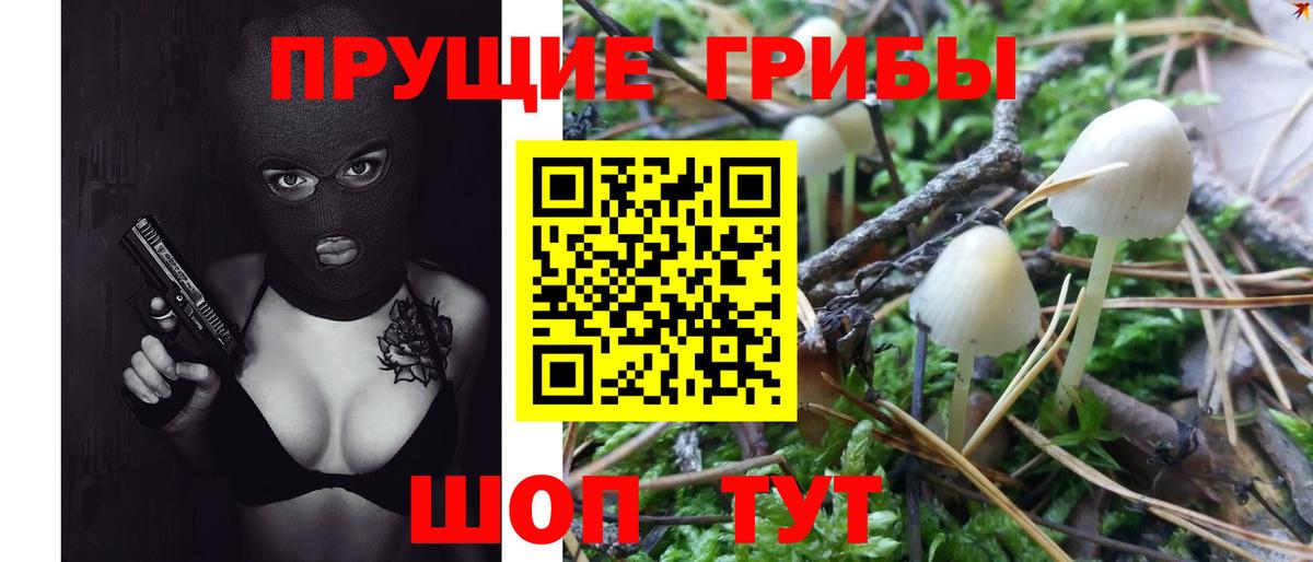 Галлюциногенные грибы MAGIC MUSHROOMS  как найти закладки  Кропоткин  Вход с VPN 